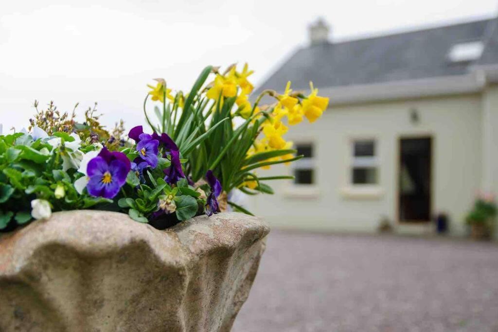 Kingfisher Riverside Retreat Kenmare Exterior photo
